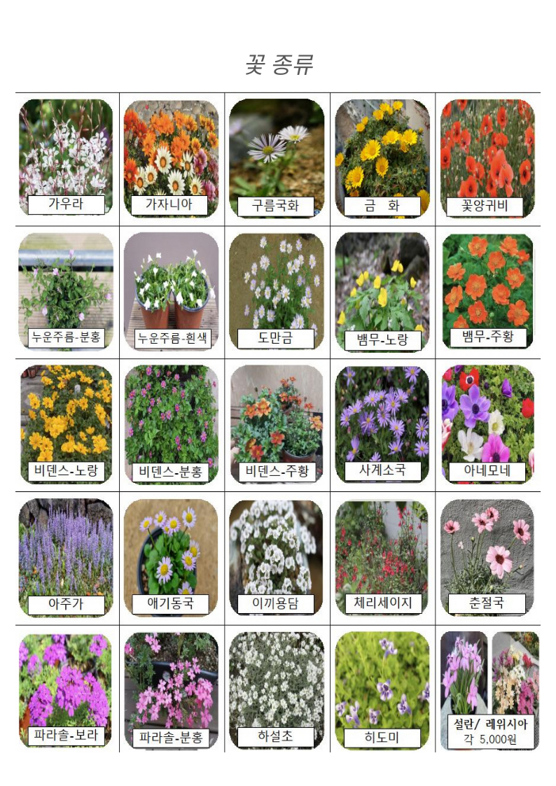 꽃 종류사진