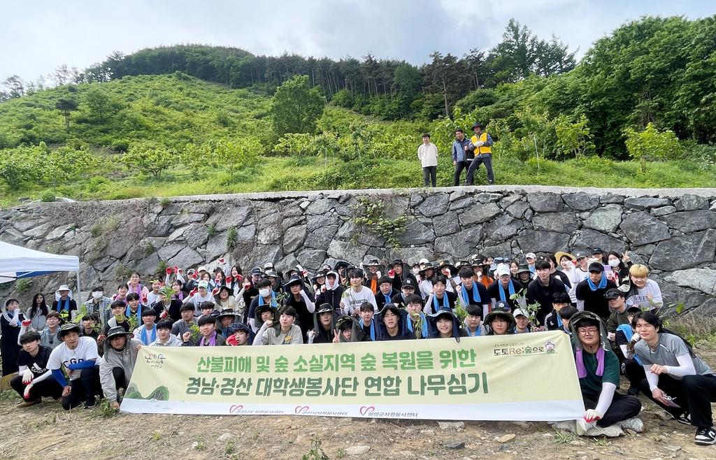 경남대학생봉사단&경산시대학생봉사단 연합 함양지역 나무심기