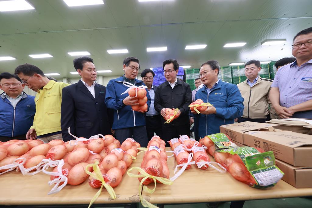 정황근 농림부장관 양파 기계수확 점검